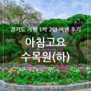 경기도 가평 가볼만한 곳, 예쁘고 아름다운 아침고요수목원(하편)