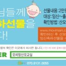 모비안 네이버블로그
