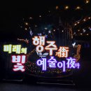 꿈초롱빛초롱어린이집 | 경기 고양 창릉천 코스모스 축제 개화 상황 서울근교 꽃구경