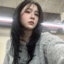 헤어비비디