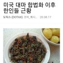 미국 대마합법화 이후 한인들근황 이미지