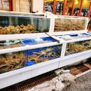 영덕대게횟집 이미지