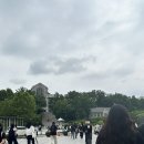 다우리재활병원 | 0608 발목인대 부분파열 3주 후기