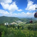 비발디파크사우나 이미지