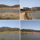 호수가보이는풍경 이미지