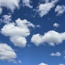 밀양-가곡-가곡-G-03 | 경모궁지 터. 함춘문.