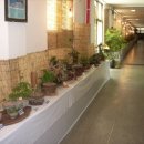 동의중학교 이미지