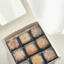 배재로232번길 이미지