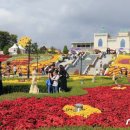 임실치즈펜션 이미지