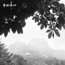 8/20(목), 비내리는 도봉산 망월사에서 이미지