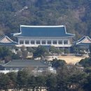 고Dog 네이버블로그