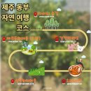 길갈영농조합법인 | 제주 자연 여행 후기, 조용한 여행지 위주 코스