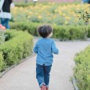 영일대약국 이미지