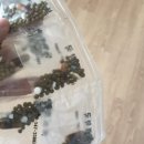 남종진다모의원 이미지