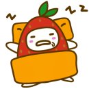 벨르스킨 이미지