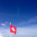 다니다니 이미지