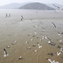 석모삼거리 이미지