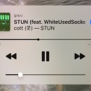 STUN-cott 이미지