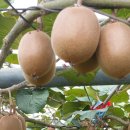 (주)골드그린환경 이미지