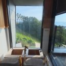 더스테이 쉼 이미지