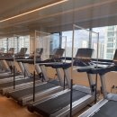 리스펙짐 이미지