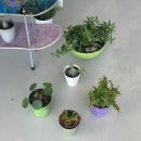 눈섬베이커리 이미지