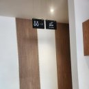 파스쿠치 파주문산DI점 | T데이 파스쿠찌 40% 할인 파주운정DI점 솔직 방문 후기