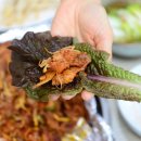 동해석쇠불고기 이미지