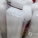 뽁뽁이네