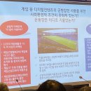 도둑고양이라이브카페