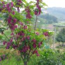 천지농장 이미지