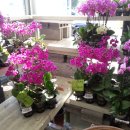 대양물류 이미지