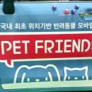 펫배달 이미지