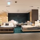 갤러리아 | [공지] 허리에 좋은 매트리스 찾으러 다녀온 씰리침대 갤러리아 매장 후기