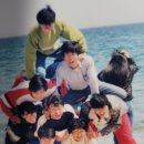 수원고등학교 Daum카페