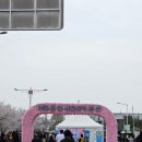 성안곱창 | [청주] 무심천 벚꽃축제 다녀옴🌸 푸드트럭 먹거리+데이트 후기 (주차 꿀팁)