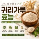 귀리가루 효능 먹는법·부작용 | 다이어트·혈당에 좋은 슈퍼푸드 (후기)
