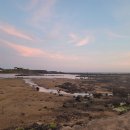 제주 서귀포 벨루아 이미지