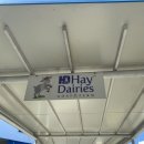 GOAT농장 이미지