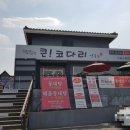 큰!코다리연구소