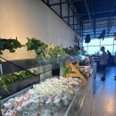 한국YMCA청양클럽 | [신혼여행] 칸쿤_하얏트 비비드 비치클럽 자리 팁, 루프탑 수영장