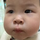 25.11.10 국반 장유아 아차사고 이미지