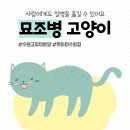 AMI PET 이미지