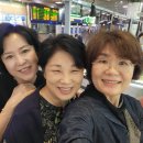 우정세탁수선 이미지