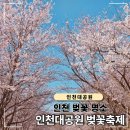 자전거 주차장 | 인천대공원 벚꽃축제, 자전거 대여 이용 후기 (대기시간, 주차장 요금 정리)