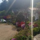 산장 러브스토리 이미지