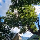 거랑시울 이미지