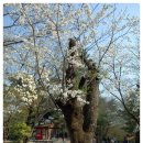 일출여인숙 이미지