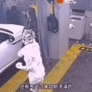 대륙세차장 이미지