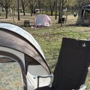 한강세탁 | 여의도한강공원 텐트 대여 노블피크닉 예약 주차 꿀팁 벚꽃 피크닉 후기